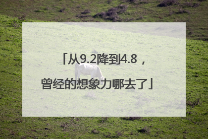 从9.2降到4.8，曾经的想象力哪去了